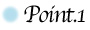 icon_point1