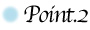 icon_point2