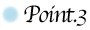 icon_point3