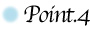icon_point4
