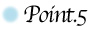 icon_point5